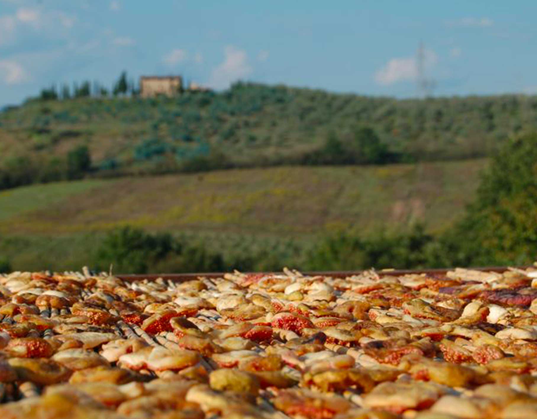 Fichi di Carmignano