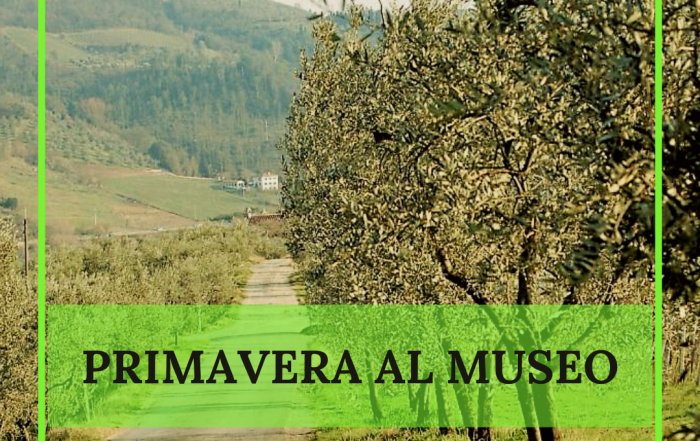 Parco Archeologico di Artimino in Primavera