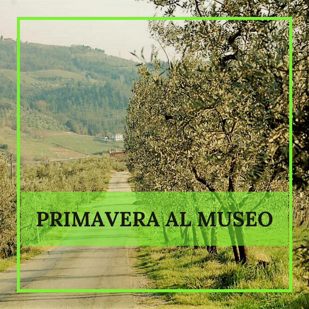 Parco Archeologico di Artimino in Primavera