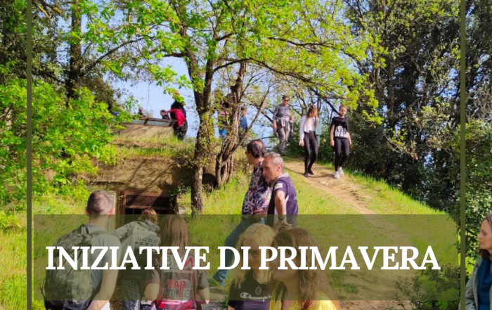 Visita alla Necropoli di Prato Rosello